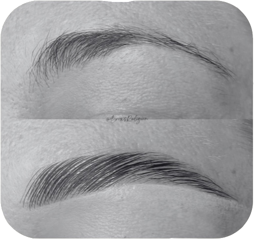 Brow Sculpt